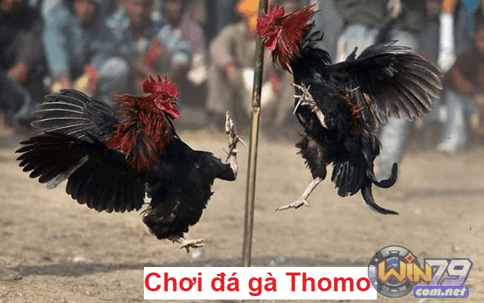 Quy định về thời gian và cách tính điểm chi tiết